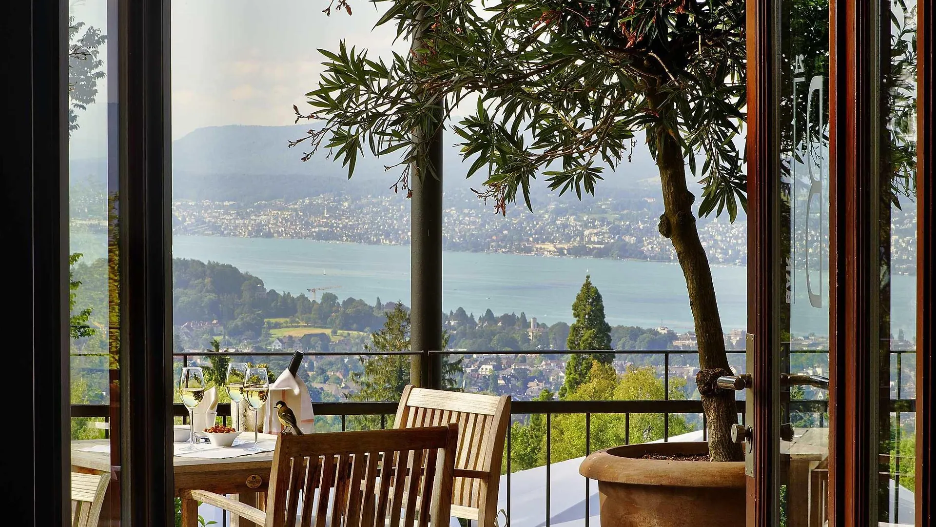 Sorell Hotel Zuerichberg  Zürih